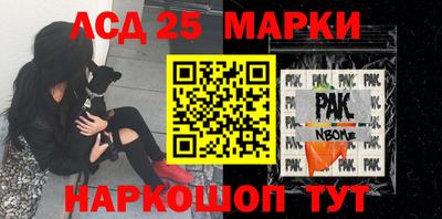 стафф Гатчина