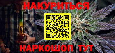 стафф Гатчина