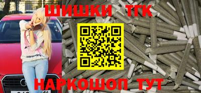 стафф Гатчина