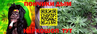 стафф Гатчина