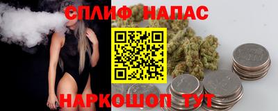 стафф Гатчина