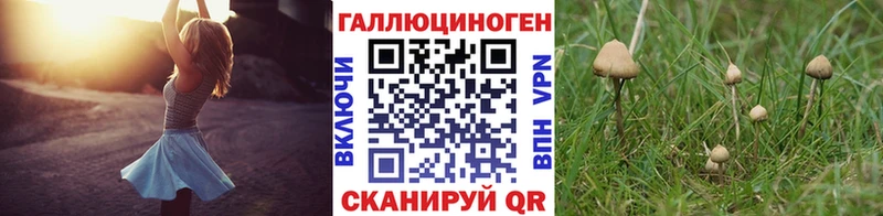 Псилоцибиновые грибы Cubensis  Ижевск 